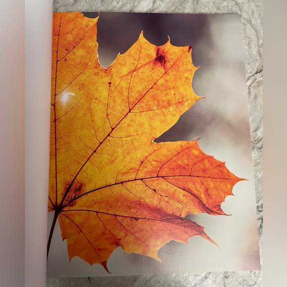 2/$20💕WoodlandCollage Kit 🍁 - Picture 5 of 10